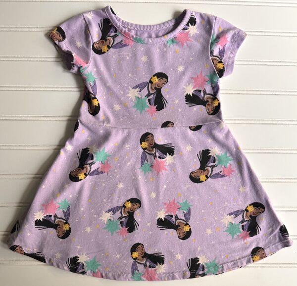 Disney Wish Asha Skater Dress