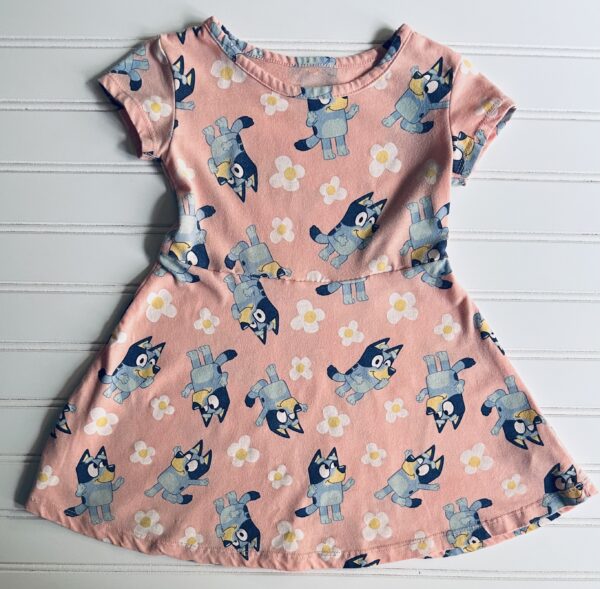 Bluey Dress