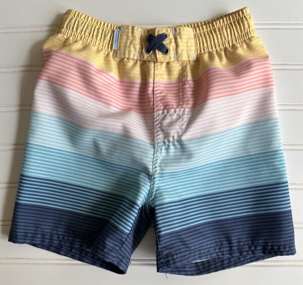Rugged Butts Swim Trunks