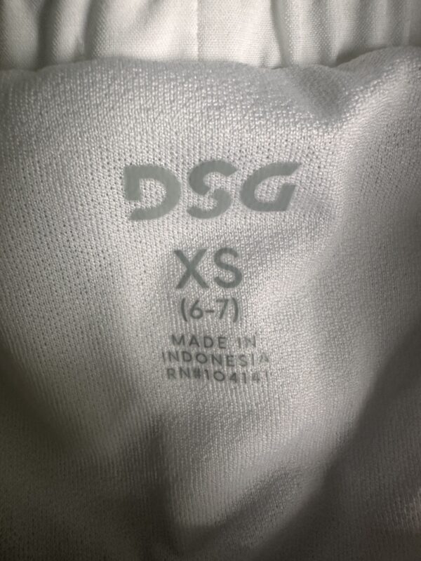 DSG Shorts - Image 2