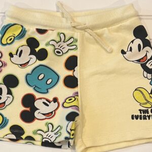Zara Disney Shorts