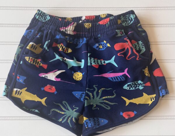 Hanna Anderson Shorts