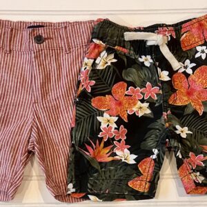 Children’s Place Shorts Stripes/Tropical
