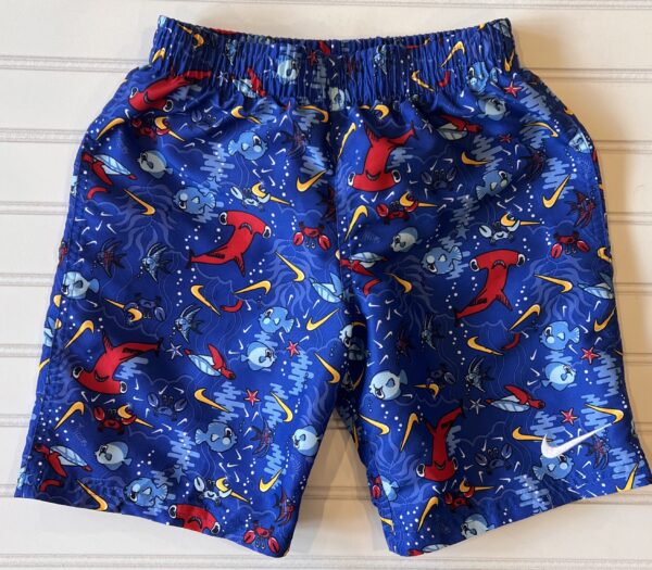 Nike Swim Trunks