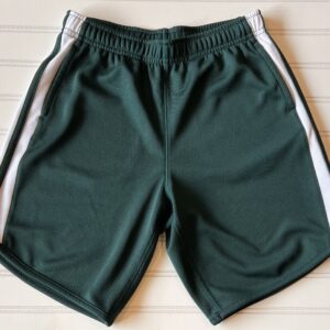 Lands End Green Shorts