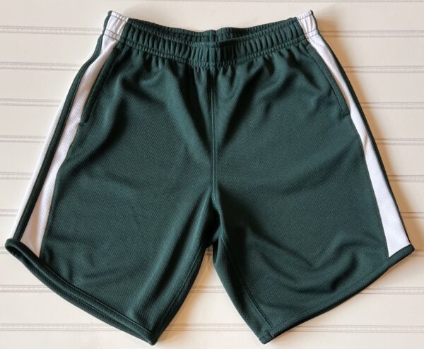 Lands End Green Shorts