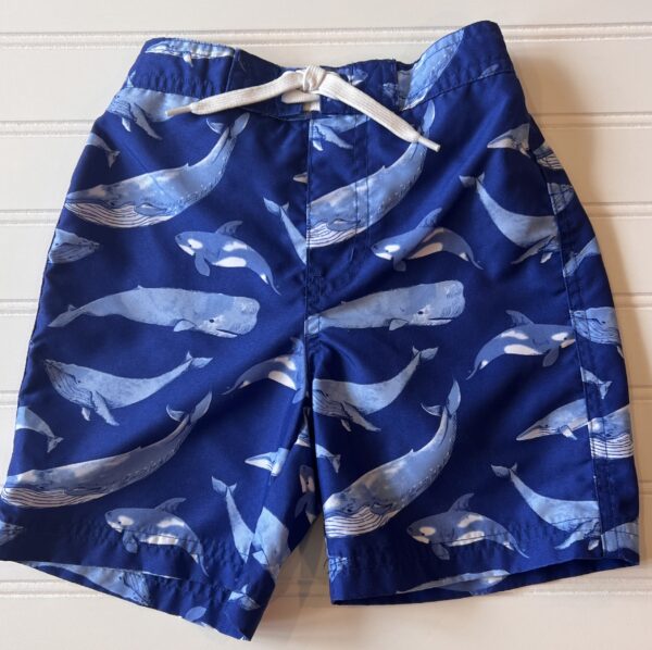 Janie & Jack Shark Swim Trunks