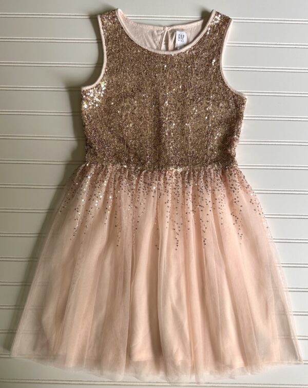 Gap Tulle Dress