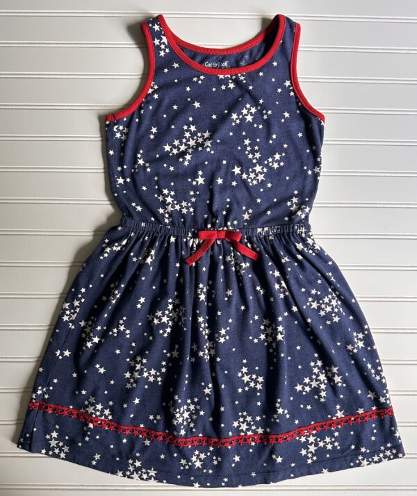 Cat & Jack Patriotic Dress