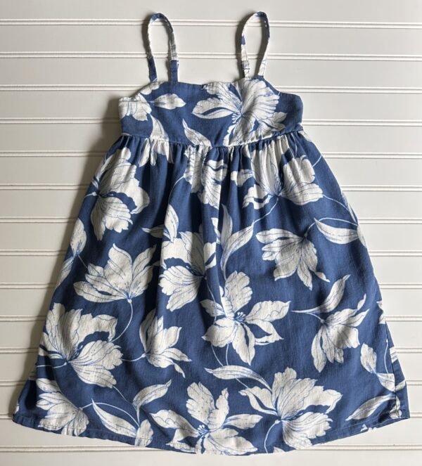 Gap Floral Twirl Dress