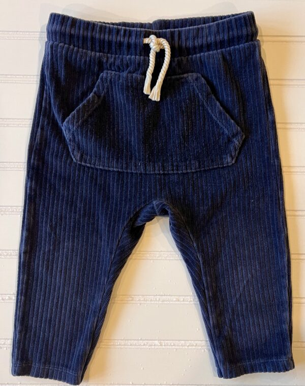 Zara Soft Corduroy Pants
