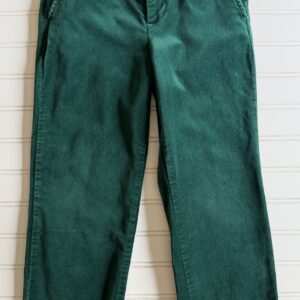 Gymboree Velvet Pants