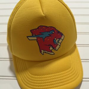 Beast by Mr. Beast Mesh Hat
