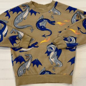 H&M Dragon Sweatshirt