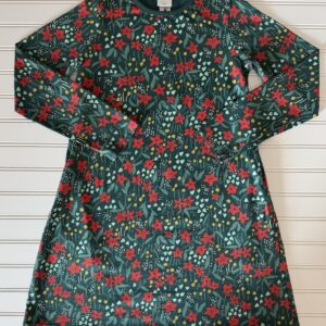 Hanna Andersson Holiday Dress