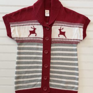 Gymboree Holiday Sweater