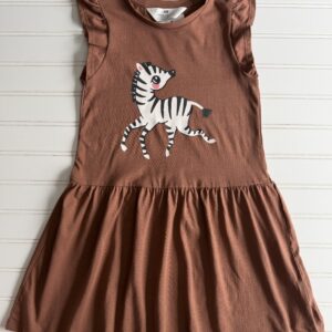 H&M Zebra Dress