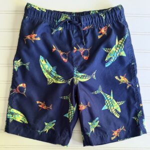 Lands End Swim Trunks
