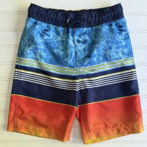 Lands End Striped Swim Trunks