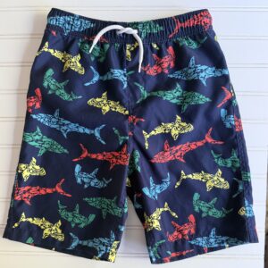 Lands End Swim Trunks