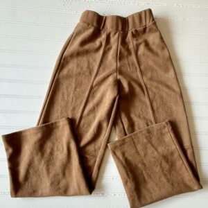 Zara Tan Pants