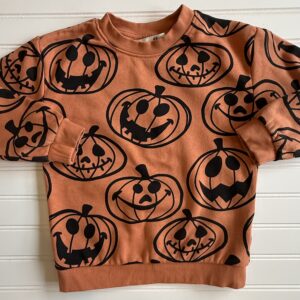 H&M Pumpkin Sweatshirt